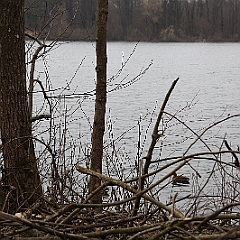 IMG 0623