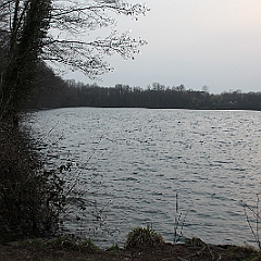 IMG 0641