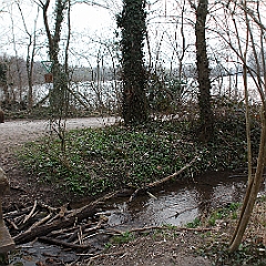 IMG 0651