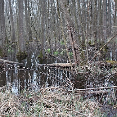 IMG 0712