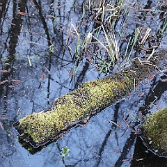 IMG 0715