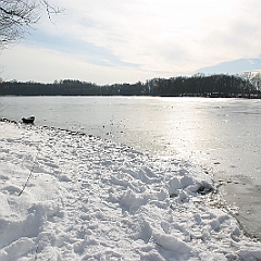 IMG 2743