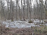 20170129_154321.jpg