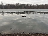 20170129_154714.jpg