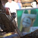 IMG 5991