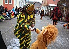 IMG 9492
