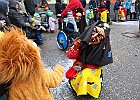 IMG 9509