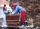 IMG 9569