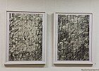 IMG 4317