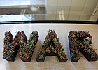 IMG 4437