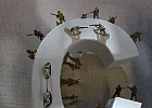 IMG 4455