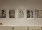 IMG 4460