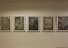 IMG 4462