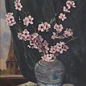 IMG 3801.