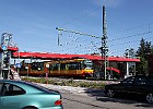IMG 2483