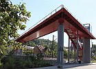IMG 2500
