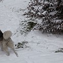 IMG 8655